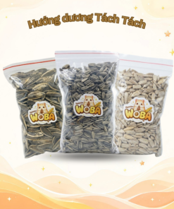 Hướng dương Tách Tách cho chuột Hamster ăn dặm